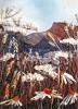 'View of the hills'