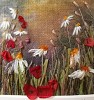 'Poppies & daisies'