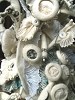 'Victoria' detail