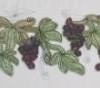 'grapes'