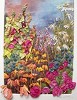 'Herbaceous border 1'