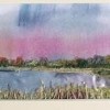 'North Meadow Common, Sudbury'